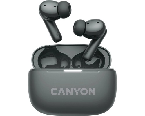 Навушники Canyon TWS-10 OnGo ANC ENC Graphite (CNS-TWS10B)