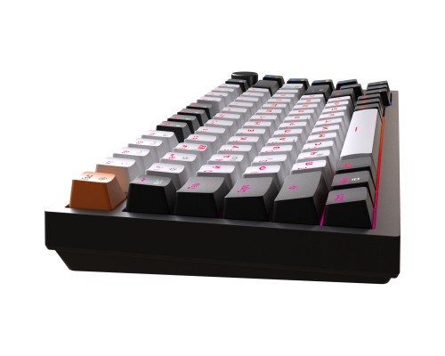 Клавіатура GamePro MK160B Hot-Swap Red Swich RGB USB UA Black (MK160B)