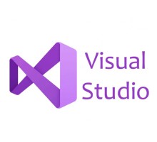 Офісний додаток Microsoft Visual Studio Professional 2022 Charity, Perpetual (DG7GMGF0D3SJ_0003CHR)