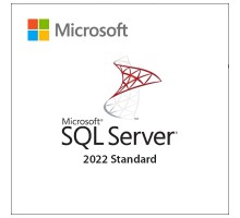 ПЗ для сервера Microsoft SQL Server 2022 Standard Edition Commercial, Perpetual (DG7GMGF0M80J_0002)