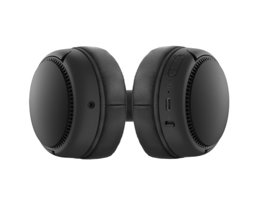 Навушники Panasonic RB-M300BGE-K Black (RB-M300BGE-K)