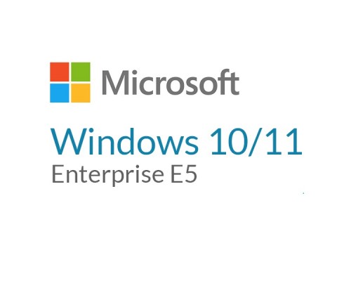 Операційна система Microsoft Windows 10/11 Enterprise E5 P1Y Annual License (CFQ7TTC0LFNW_0002_P1Y_A)