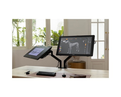 Планшет-монітор Huion Kamvas RDS-220 (RDS-220)